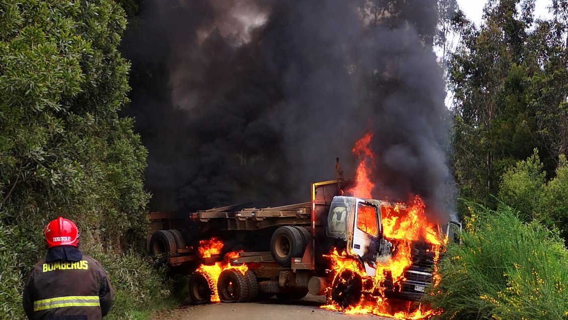 Contratistas forestales demandan al Estado por inseguridad en la Macrozona Sur