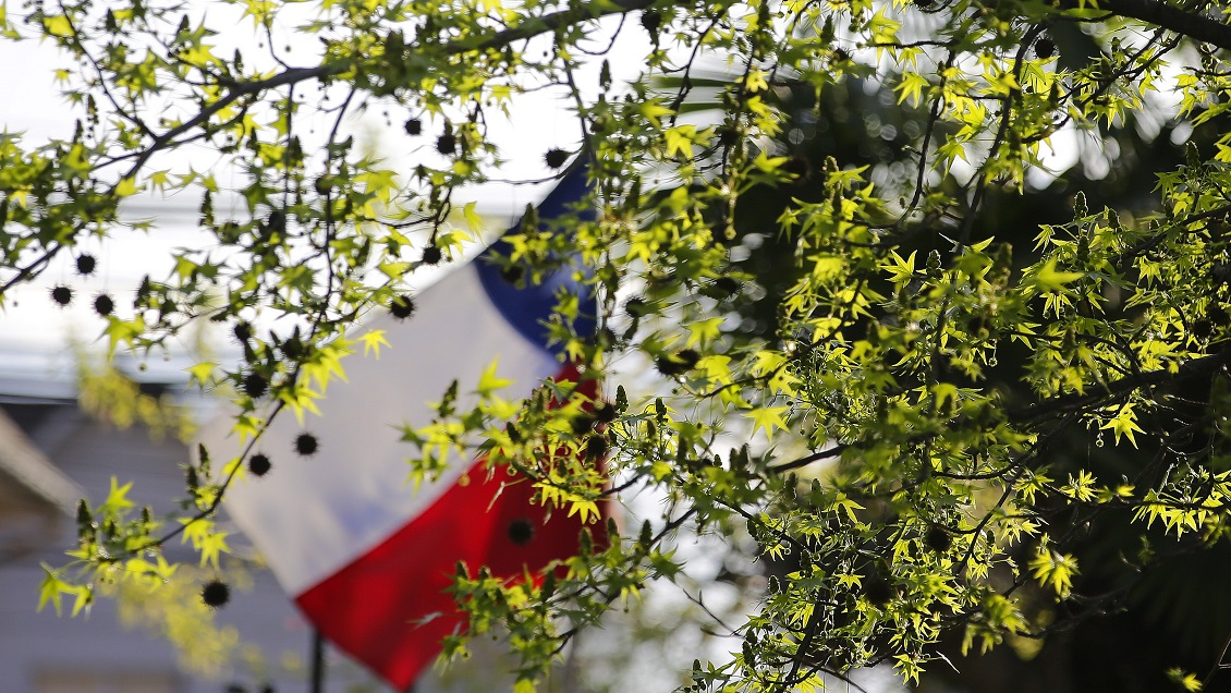 Fecha Y Hora Cuándo Empieza Oficialmente La Primavera En Chile Este 2022 Cooperativacl