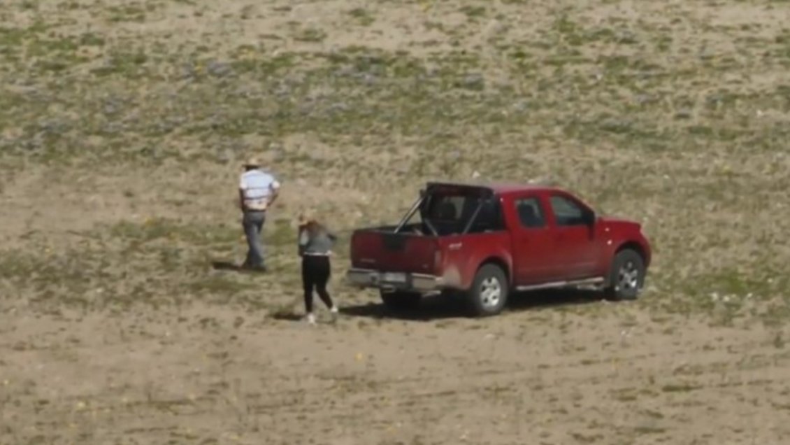 Conductor de camioneta que aplastó el desierto florido reconoció su error