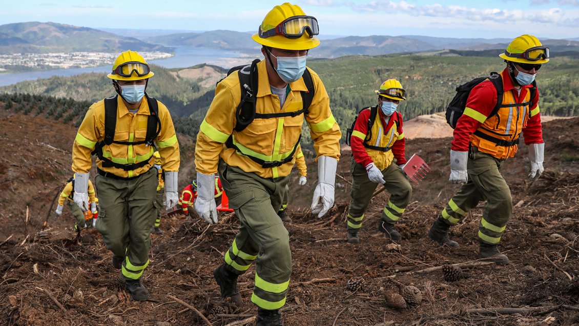 Conaf abrió las postulaciones para contratar brigadistas forestales para temporada de incendios