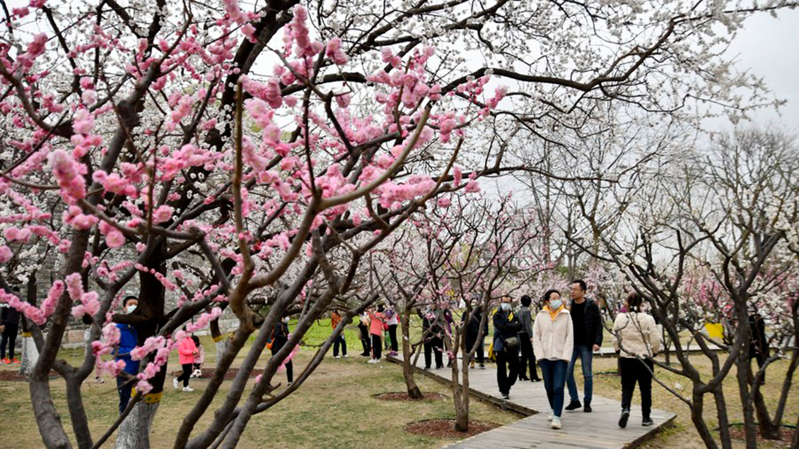 Festival de turismo aumenta consumo en Shanghai