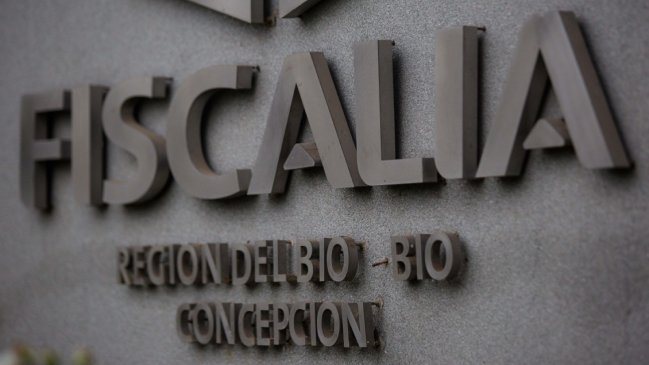 Robo de madera: Diputado Aedo expresó 