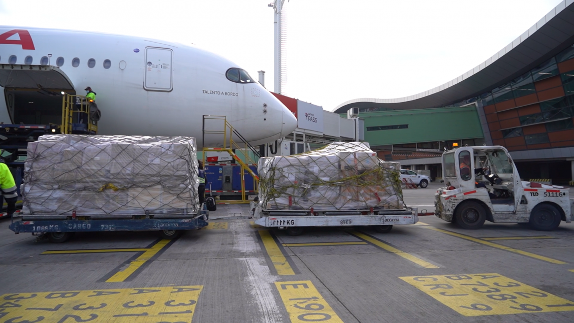 Llegó a Chile la primera remesa de vacunas contra la viruela del mono