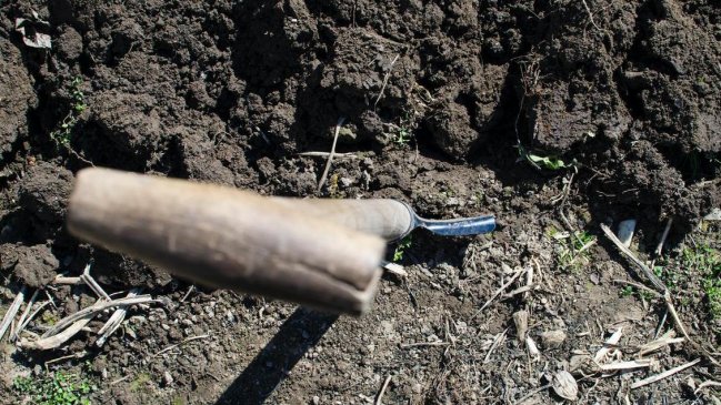 Nueva York a detalles de legalizar el compostaje de cadáveres humanos