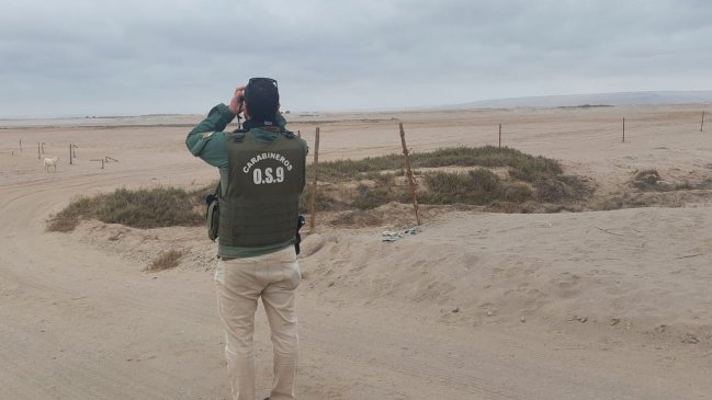 Carabineros detectó bus que intentaba ingresar a Chile por paso irregular con 15 ciudadanos extranjeros