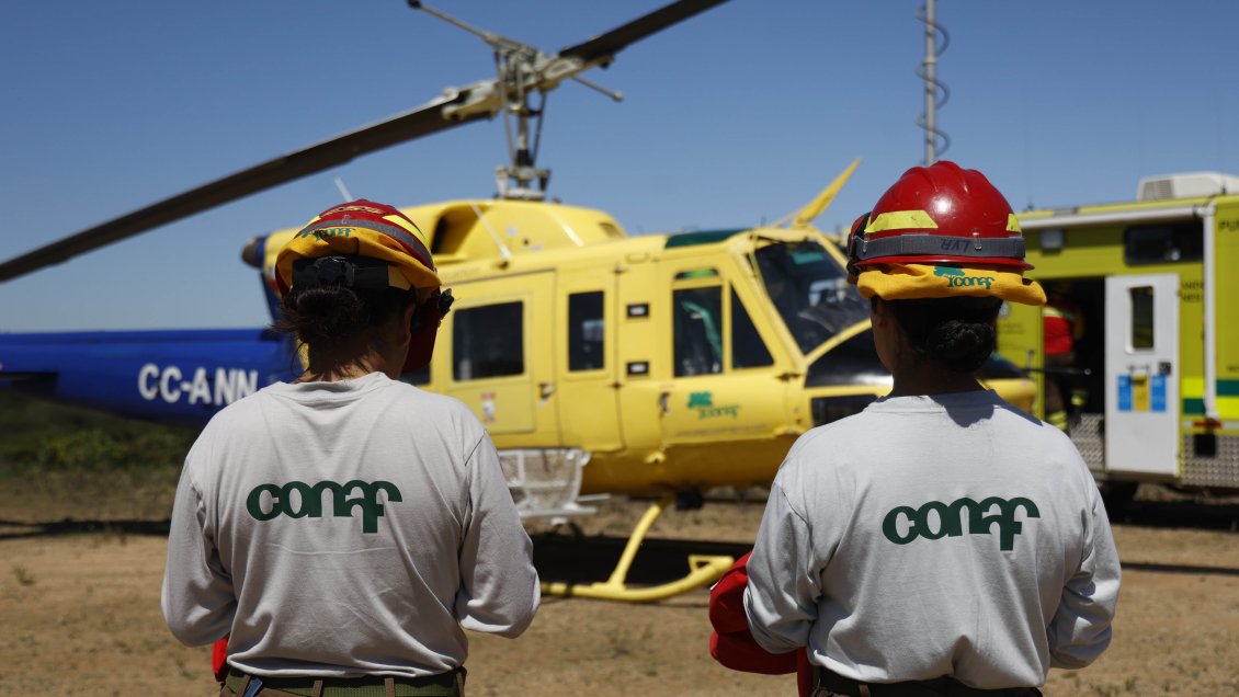 Mineduc y Conaf diseñan programa 