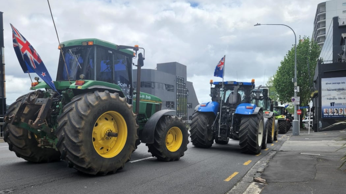 Granjeros de Nueva Zelanda protestan por plan de Ardern para cobrar impuesto por eructos de ovejas y vacas