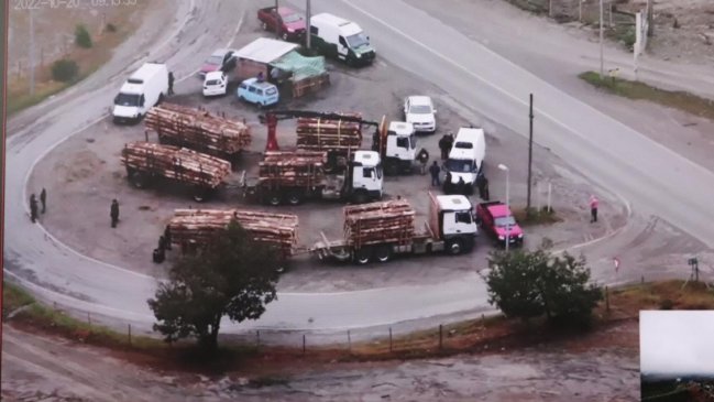 Carabineros desbarató banda criminal dedicada al robo de madera en la Macrozona Sur