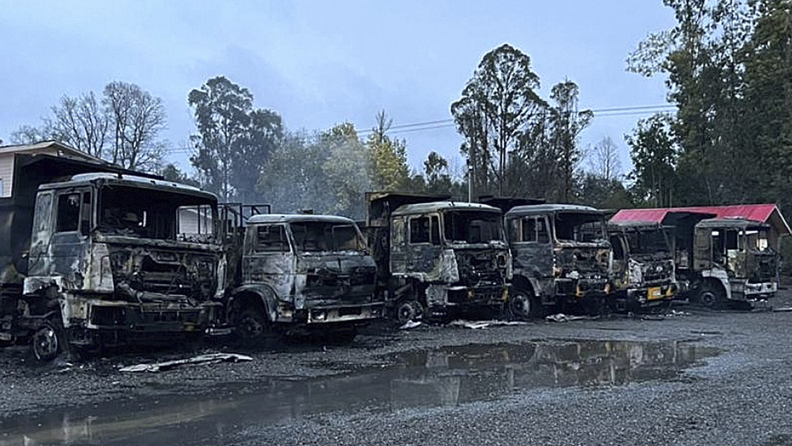 Contratistas forestales presentaron reclamación contra el Estado de Chile ante la OIT
