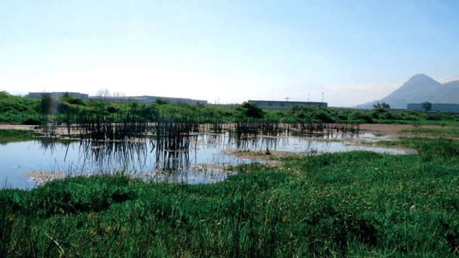 Justicia ambiental revocó reconocimiento al 