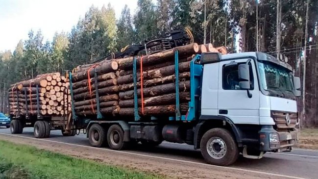 Fiscalía: La nueva ley de robo de madera ha permitido perfeccionar y profundizar las investigaciones