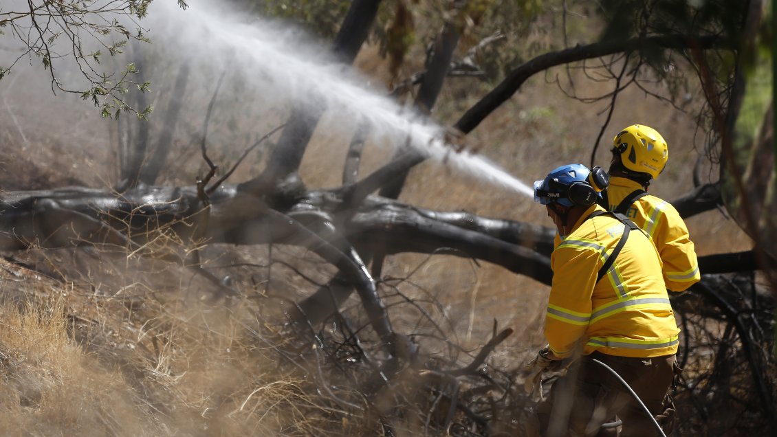 Más de 240 brigadistas combatirán los incendios forestales en La Araucanía