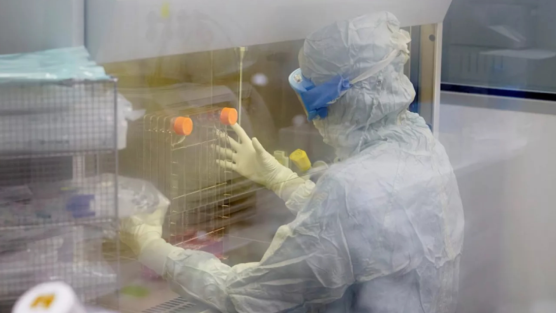 Ensayo demuestra eficacia de un fármaco que inhibe una proteína del cáncer