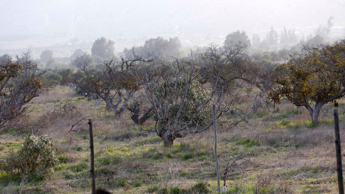 FAO: Latinoamérica necesita fortalecer la acción climática en la agricultura