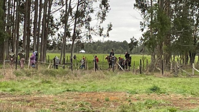 Multigremial denuncia maltrato animal por parte de comunidad que usurpó predio en Frutillar