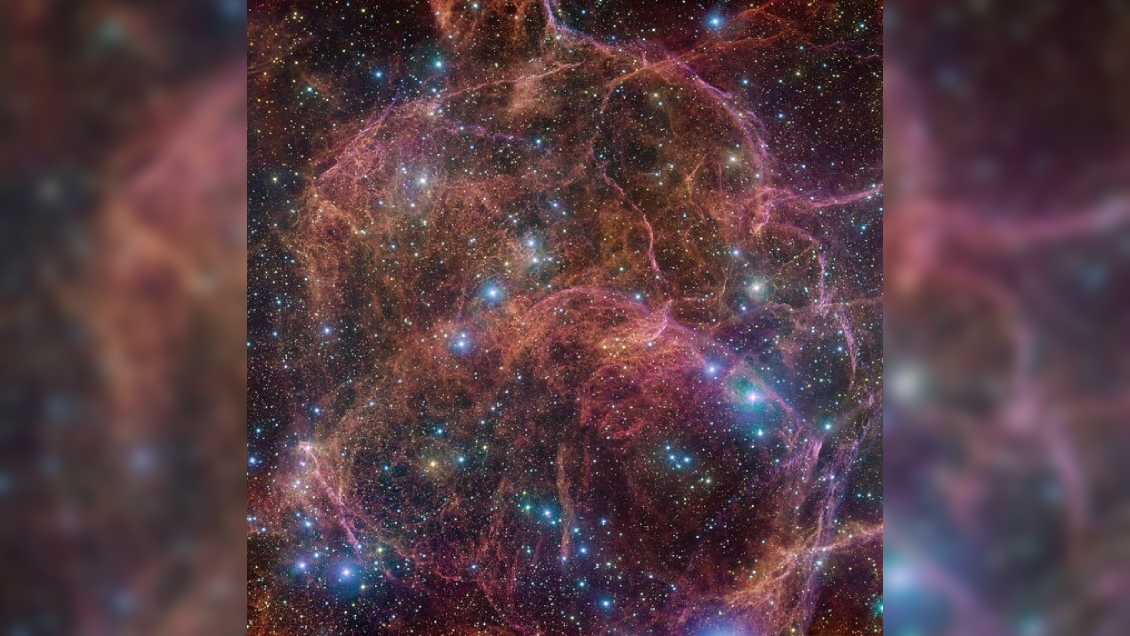 Desde Chile capturan el 