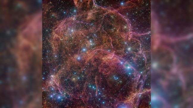 Desde Chile capturan el 