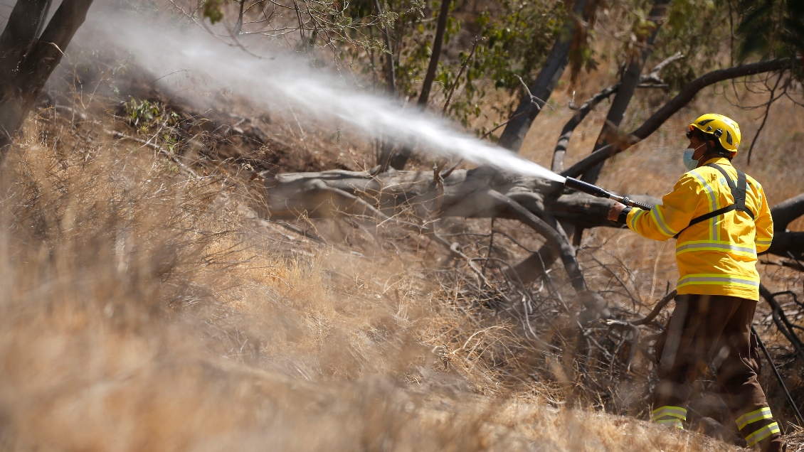 PDI indaga presunta intencionalidad en el incendio forestal de Monte Patria