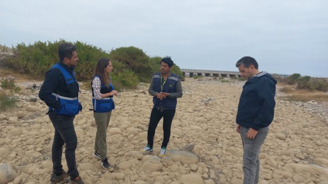 Ecosistema en riesgo: Robo de agua podría afectar al humedal del río Lluta en Arica