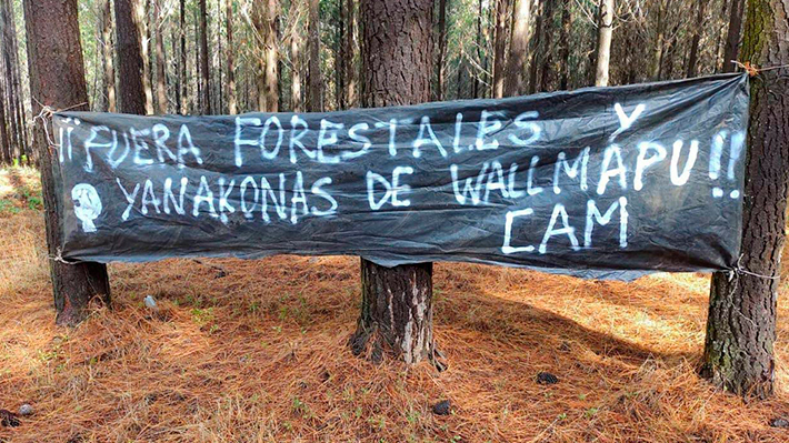 Agricultores de Malleco piden al Gobierno controlar delitos en sectores rurales