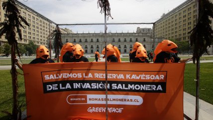  Greenpeace se enjauló frente a La Moneda en protesta contra las salmoneras en la Patagonia 