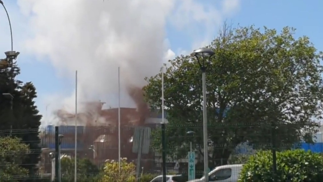 Fiscalía abrió investigación por desperfecto en planta celulosa que causó precaución en Constitución