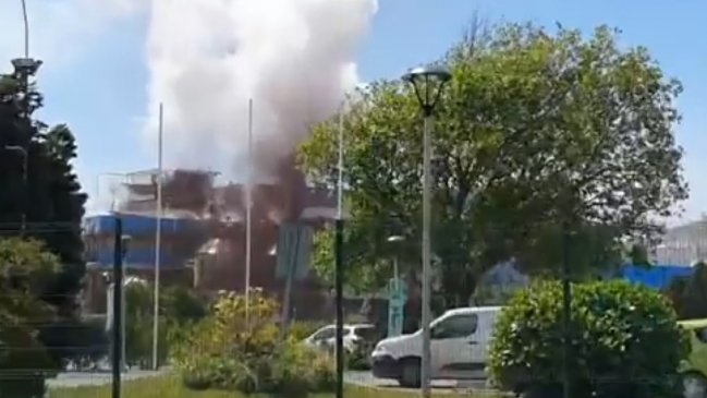 SMA inició investigación por desperfecto en planta de Celulosa Arauco en Constitución