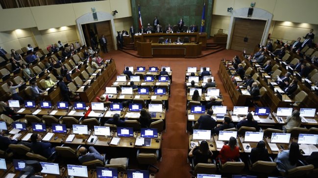 DDHH, Buen Vivir y seguridad pública: Los nudos del debate particular del Presupuesto