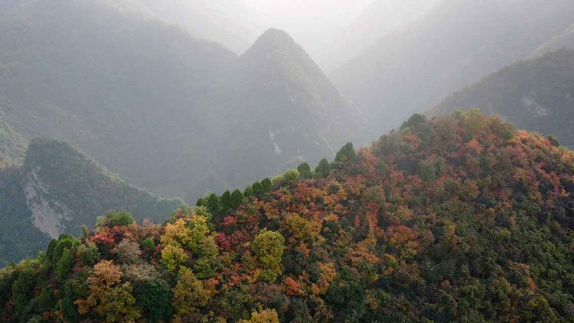 China establecerá observatorio climático en montañas Qinling