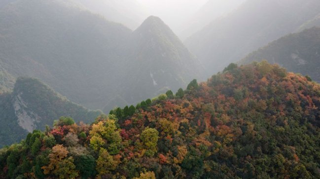 China establecerá observatorio climático en montañas Qinling