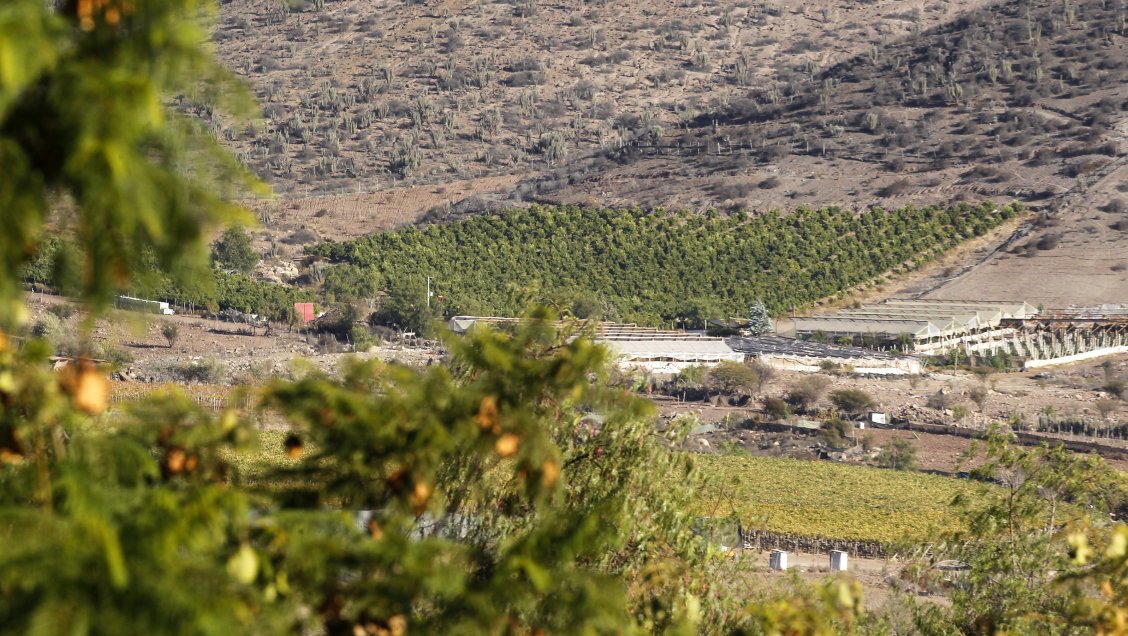 Capel advierte de estafa con su nombre a través de redes sociales