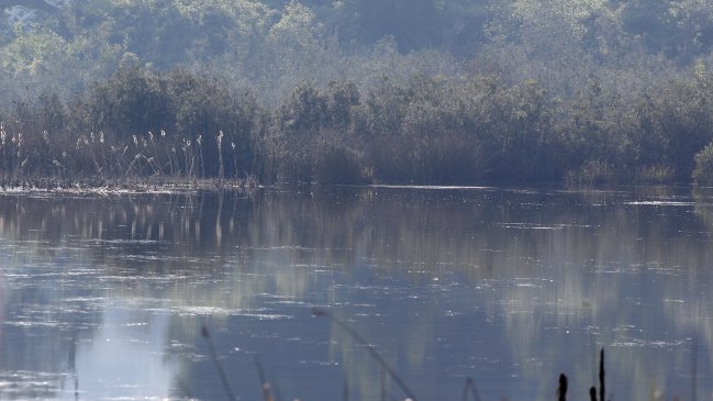 Tribunal Ambiental deshizo declaración del humedal urbano Los Juanes, en Quintero
