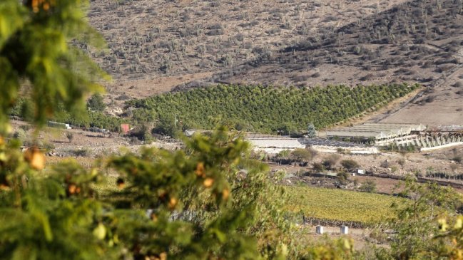 Capel advierte de estafa con su nombre a través de redes sociales