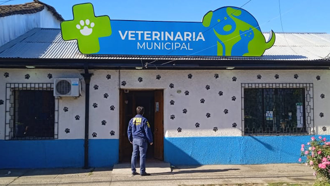 PDI detuvo a cinco personas acusadas de estar implicadas en robo a veterinaria municipal de Linares