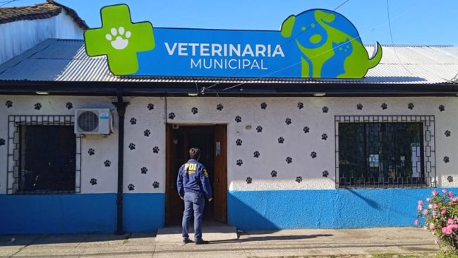 PDI detuvo a cinco personas acusadas de estar implicadas en robo a veterinaria municipal de Linares