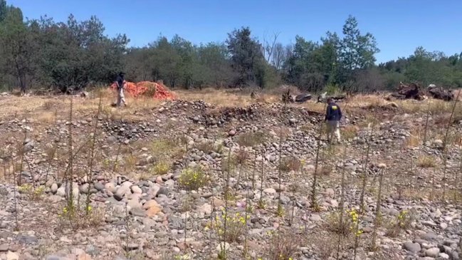 Hallan un cadáver descuartizado en bosque de Pelarco