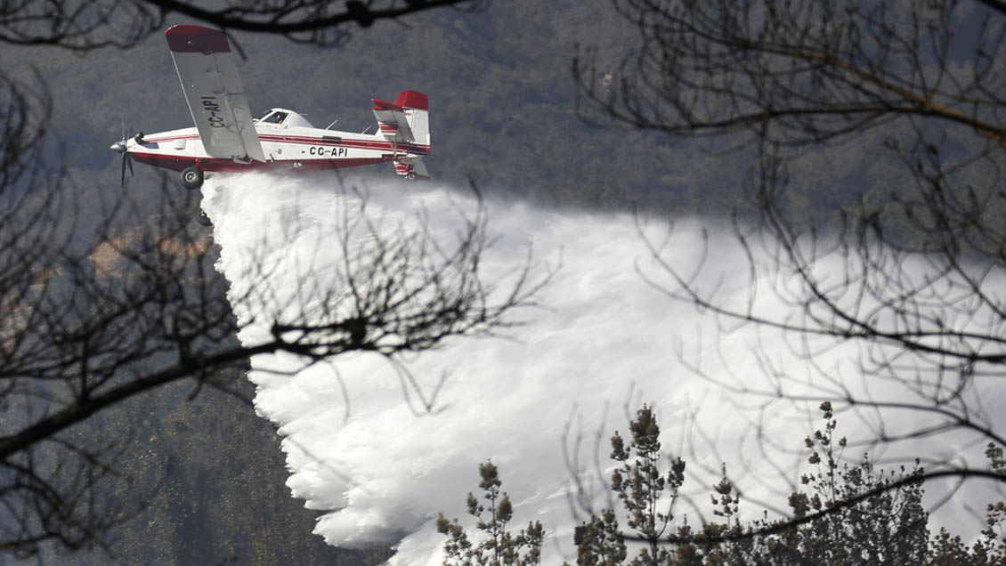 Incendio forestal amenazó viviendas en Rapa Nui: Ya fue extinguido