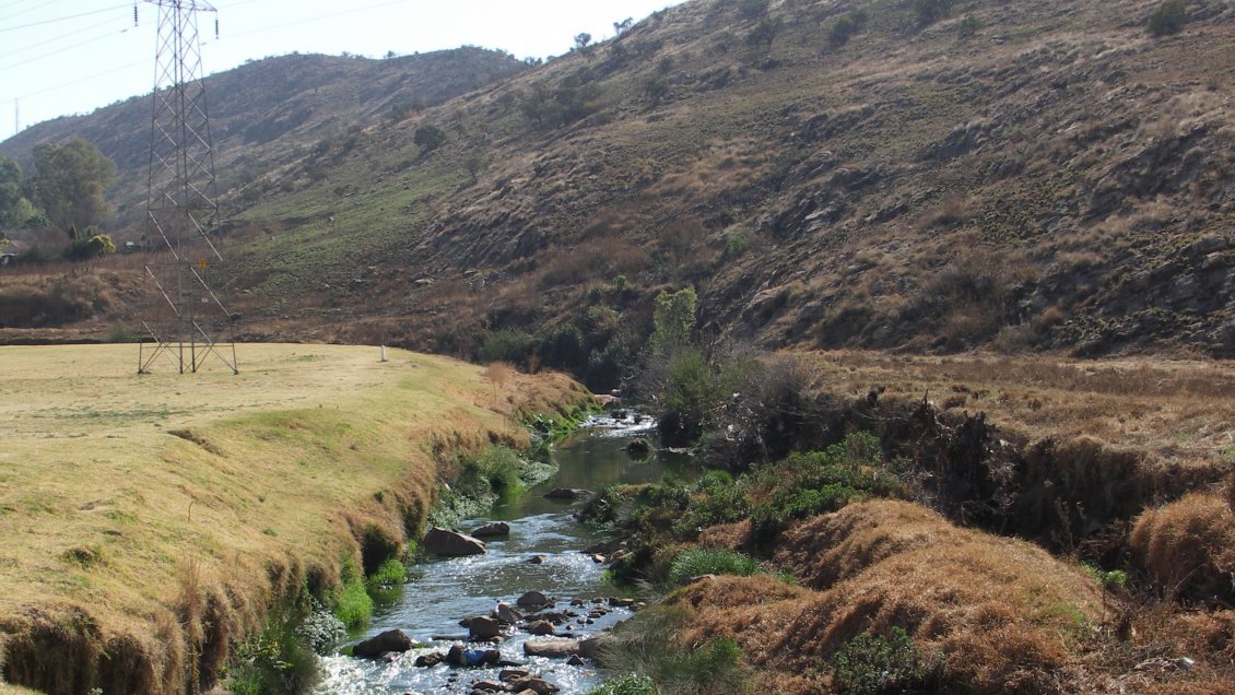 Al menos 14 personas murieron ahogadas durante un bautizo en un río en Sudáfrica