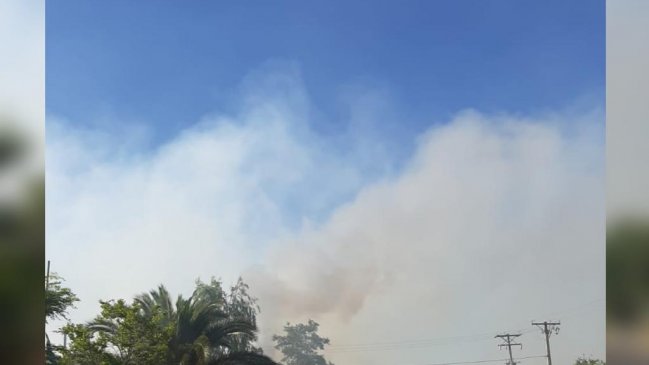 Declaran alerta roja para comuna de Las Cabras por incendio forestal