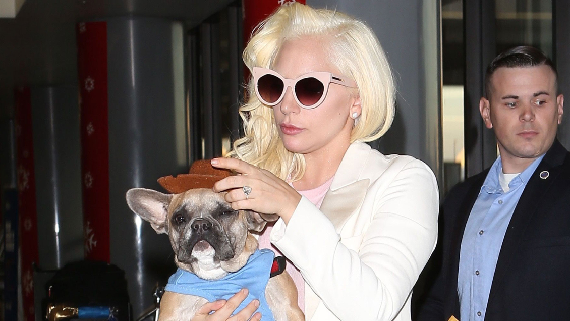 Hombre que robó a los perros de Lady Gaga pasará 21 años en prisión