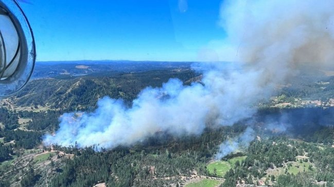 Alerta Roja en Santa Juana: incendio forestal fuera de control ha consumido 60 hectáreas