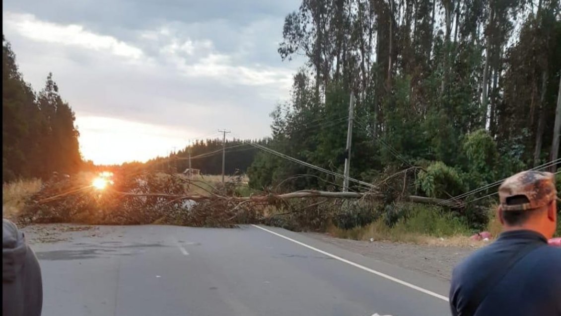 Coordinadora Arauco Malleco llamó a movilizaciones en apoyo a comuneros recluidos
