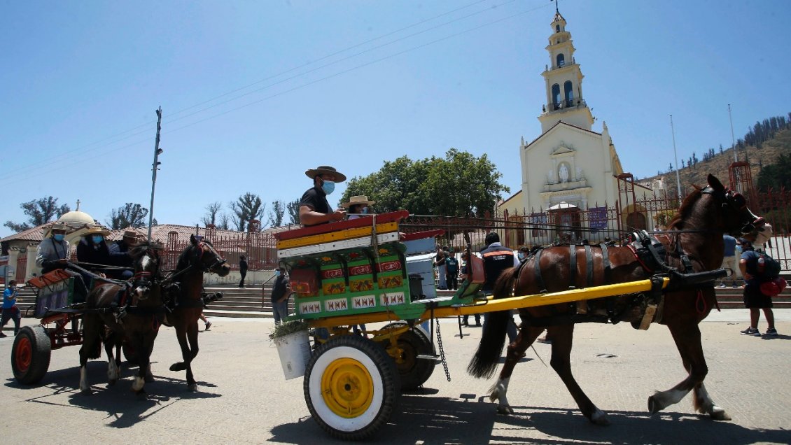 Anuncian querella por muerte de caballo en Lo Vásquez: Indagan deshidratación, estrés térmico y fatiga muscular