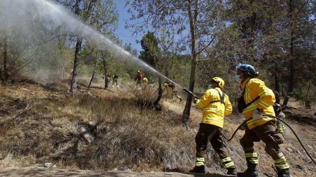 Extinguido el incendio forestal que amenazó a sectores poblados en Litueche
