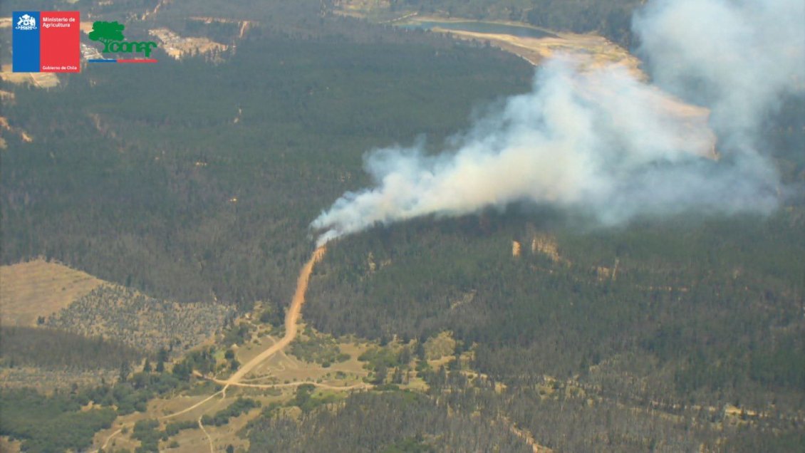 Dos incendios mantienen con alerta roja a Valparaíso: Uno afecta a la reserva Lago Peñuelas