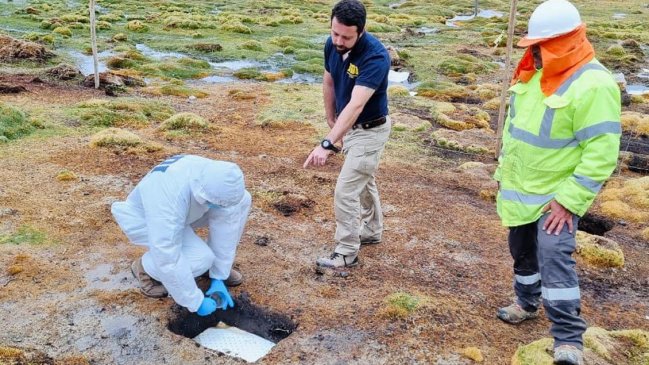 Investigan contaminación por combustible en el Parque Nacional Lauca