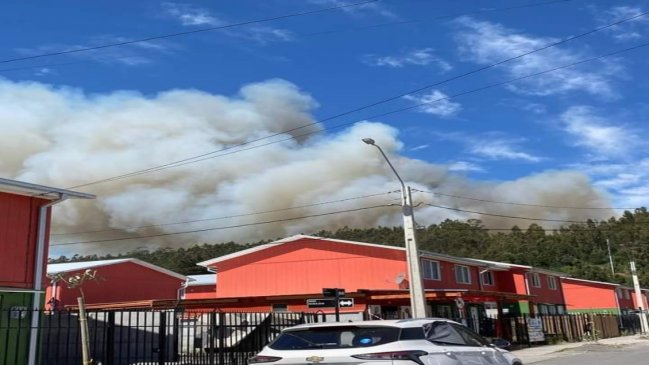 Velas en pajonales iniciaron un incendio en Tomé: Región del Biobío con dos alertas rojas