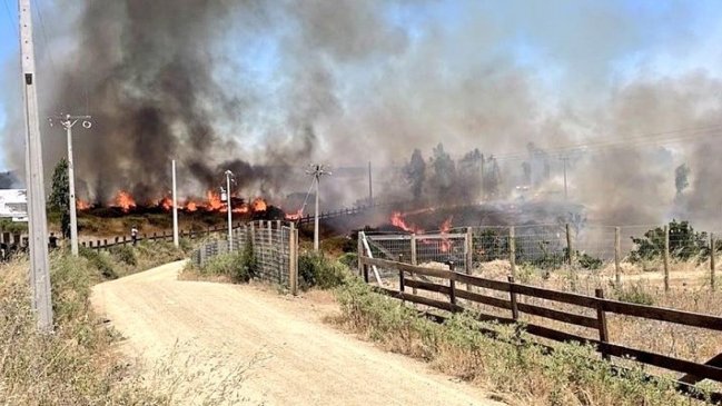 Alerta roja en Santo Domingo, Villa Alemana, Quilpué y Catemu por incendios forestales