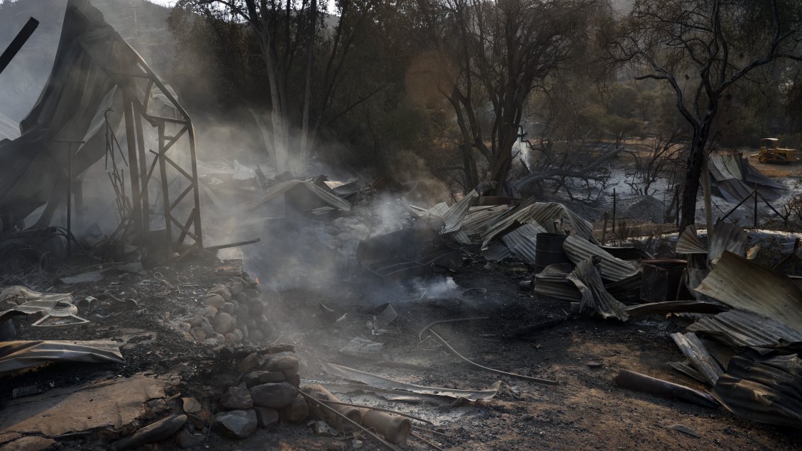 Incendios forestales: Diputado UDI emplaza al gobierno por lenta respuesta