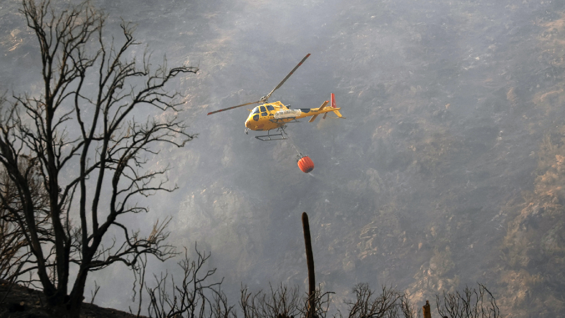 Incendio forestal consumió cinco hectáreas y dos bodegas en Melipilla